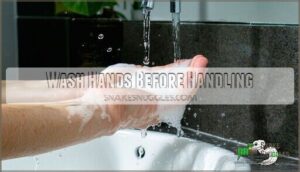 wash hands before handling