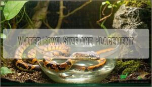water bowl size and placement