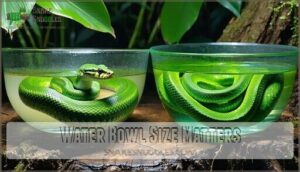 water bowl size matters