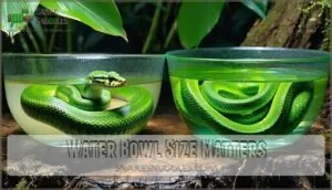 water bowl size matters water bowl size matters