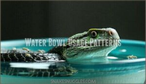 water bowl usage patterns