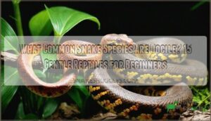 what common snake species are docile