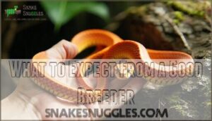 what to expect from a good breeder