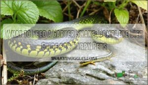 what to feed a garter snake