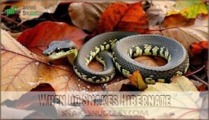when do snakes hibernate