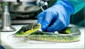 when to seek veterinary care