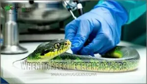 when to seek veterinary care when to seek veterinary care
