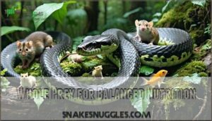 whole prey for balanced nutrition