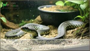 why snakes stop pooping