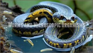 worms and microscopic organisms