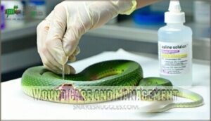 wound care and management
