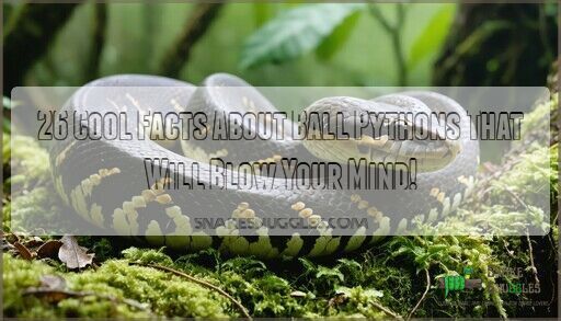26 Cool Facts About Ball Pythons That Will Blow Your Mind!