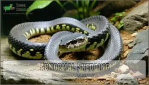abnormal shedding abnormal shedding