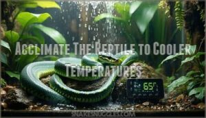 acclimate the reptile to cooler temperatures