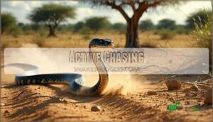 active chasing