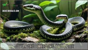advanced breeding and care