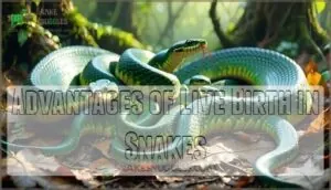 advantages of live birth in snakes advantages of live birth in snakes