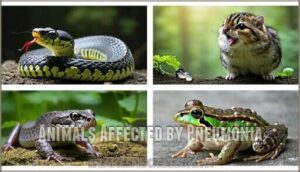 animals affected by pneumonia