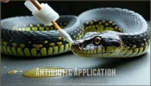 antibiotic application