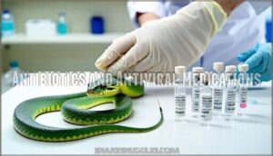 antibiotics and antiviral medications