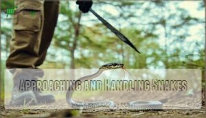 approaching and handling snakes