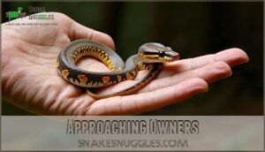 approaching owners
