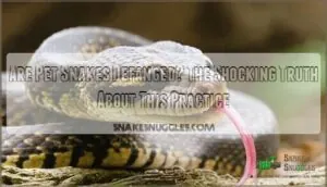 are pet snakes defanged are pet snakes defanged
