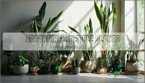 arranging multiple plants
