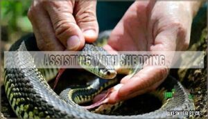 assisting with shedding