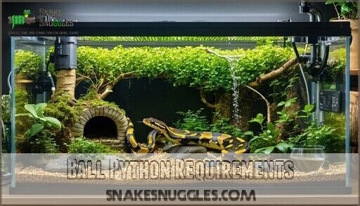 Types of Snakes Handleable: 15 Docile Breeds Perfect for Beginners