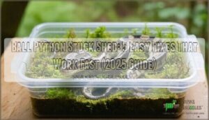 ball python stuck shed