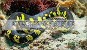 banded sea snake adaptations