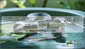 bathe boa constrictor