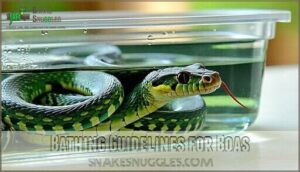 bathing guidelines for boas