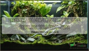 beginner boa constrictor setup cost