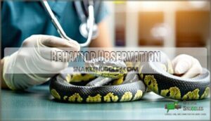 behavior observation