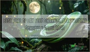 best time of day feed snake
