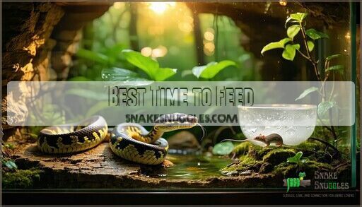 Image showcasing Best Time of Day Feed Snake: Expert Feeding Schedule Guide 2025