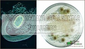 blood work and fecal sample evaluation