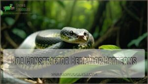 boa constrictor behavior patterns
