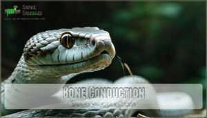 bone conduction