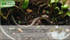 brahminy blind snakes and care