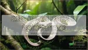 breeding cycle effects on feeding patterns breeding cycle effects on feeding patterns
