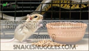 can gerbils eat a food bowl
