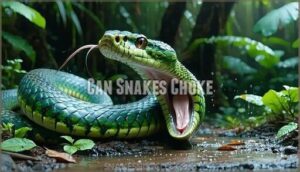 can snakes choke
