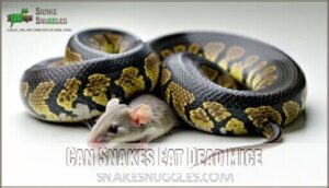 can snakes eat dead mice