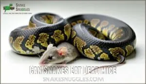 can snakes eat dead mice can snakes eat dead mice