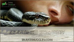 can snakes hear human voices