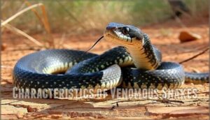 characteristics of venomous snakes