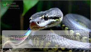 chemical signals and pheromones